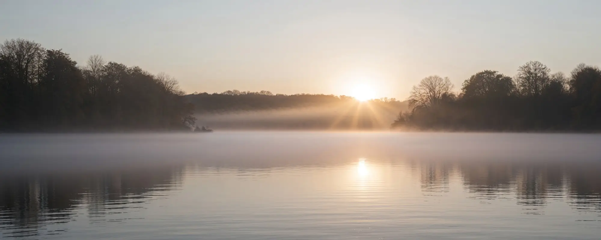 Ein friedlicher See im sanften Morgenlicht, umgeben von dichten Bäumen, während die Sonne langsam über dem Horizont aufgeht. Ein leichter Nebelschleier liegt über dem Wasser und reflektiert die warmen Sonnenstrahlen. Die Szene strahlt Ruhe, Klarheit und einen Neubeginn aus – eine perfekte Darstellung von Harmonie und Gelassenheit in der Natur.